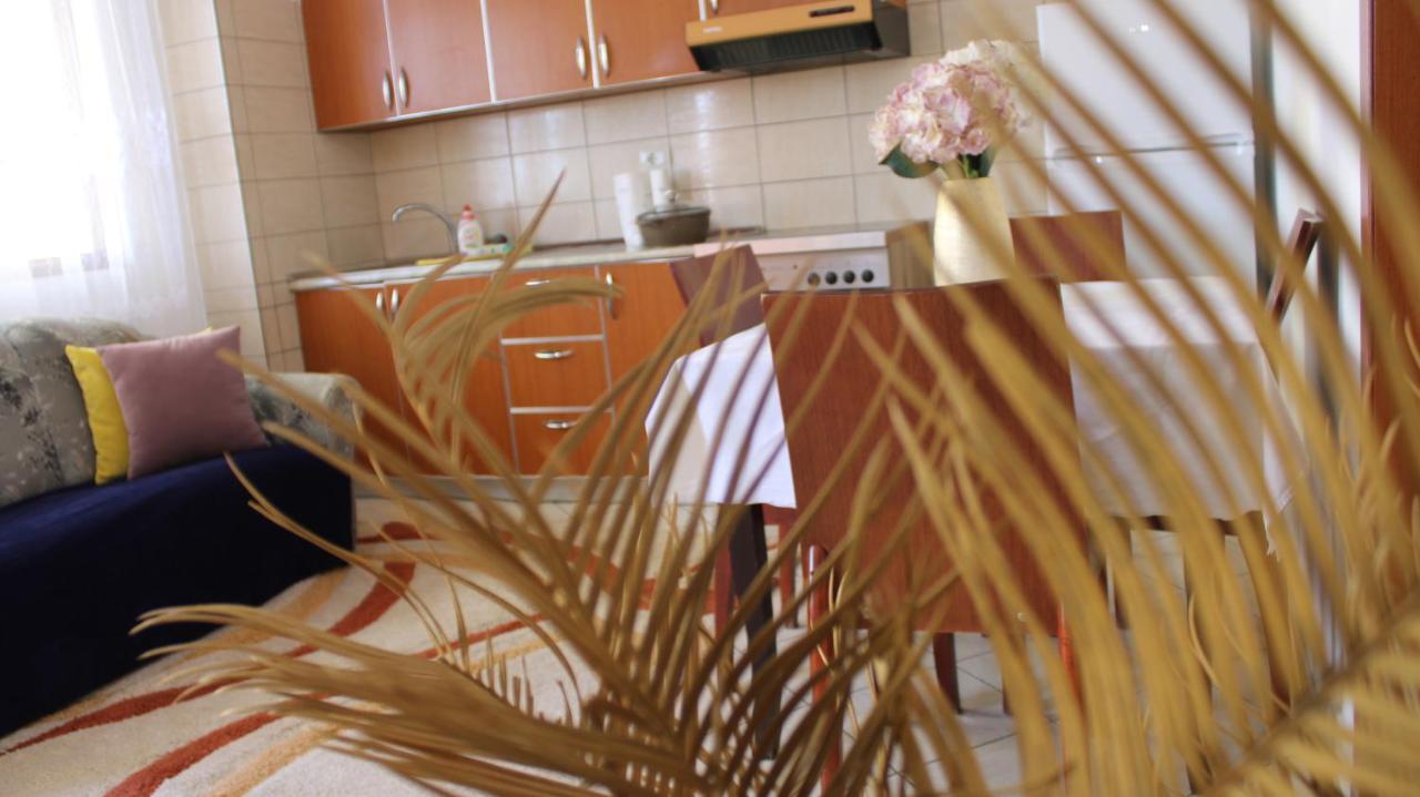 טיראנה Bledi'S Cozy Apartment In New Blvd מראה חיצוני תמונה